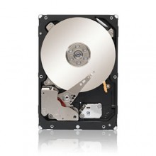 Жесткий диск Seagate FC 300Gb, Cheetah NS Fibre Channel 4.0Gb/s, 10000 rpm, 16mb (ST3300955FC)